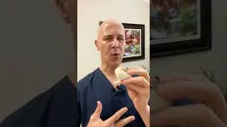 Eat Garlic&hellip;Your Body Will Love You!  Dr. Mandell