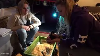 Dag 2 van de KITTENS van Rosy. Hoe gaat het met ze. We gaan ook wat ETEN van HUSSE proberen!  #3890