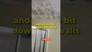 Bathroom Ceiling Black Mold Infestation - Mold Busters #shorts