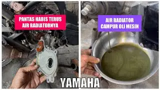 Cara mengatasi air radiator masuk ke dalam mesin, bercampur dengan oli #xeongt125 