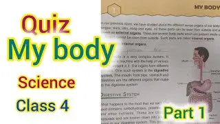 My body quiz class 4 science dav chapter 1 #quiz #quiztime #studyquiz #sciencequiz #davscience