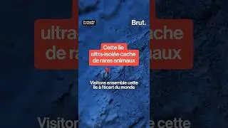 Cette &icirc;le ultra-isol&eacute;e cache de rares animaux