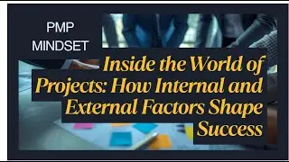 Inside the World of Projects: How Internal and External Factors Shape Success