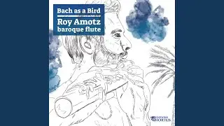 Cello Suite No. 1 in G Major, BWV 1007: I. Prelude (Transcription for flute by Roy Amotz) (Bach...