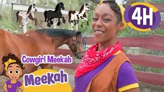 Cowgirl Meekah Takes Care of Horses and Farm Animals! | 4 HR OF MEEKAH | Educational Videos for Kids