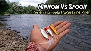 Lure Killer Untuk Casting Hampala‼️Casting Hampala Menggunakan Spoon dan Minnow