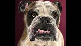 Digi Dog Custom Pet Art