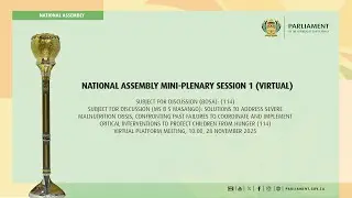 NATIONAL ASSEMBLY MINI-PLENARY SESSION 1, 28 November 2025