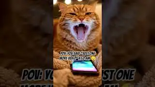Did you yawn too? 😴#trending #shorts #love #couple #reaction #phone #sleep #truelove