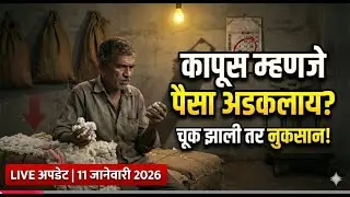 🛑25 जानेवारी: कापूस मार्केटमध्ये मोठं वादळ? 🌪️ | आजचा कापूस भाव Update📈