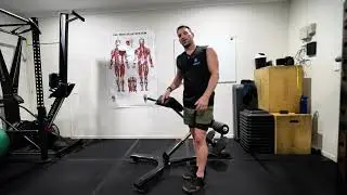 Spinal Extension (Hip / Back Extension Machine)