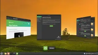 Linux Mint 21.1 