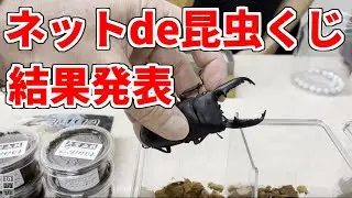 【抽選結果】ネットde昆虫クジ2024年2月【2月14日～2月21日】