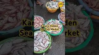 Hidden Fish Market in Karur | Rayanoor SriLankan Tamil Camp Sunday Special