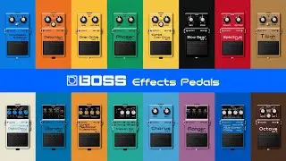BOSS PN-2 Tremolo/Pan | Factory Sound | Effects Pedals Plugin Official Roland Cloud