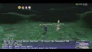 FFXI Assault Guide - The Double Agent