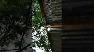 Camp Lama Belum Di Bongkar, Sebelum Bangun Ruko 🌧