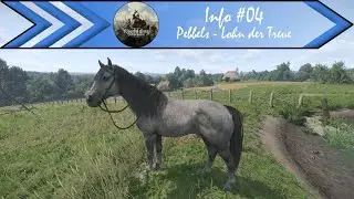 KCD II - Info #04: Pebbels - mein treues Ross - Semin - Lohn der Treue 'Gute alte Pebbels'
