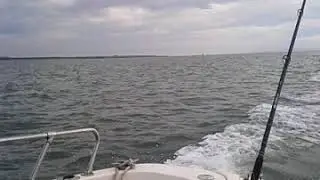 Jolly gee quicksilver 620