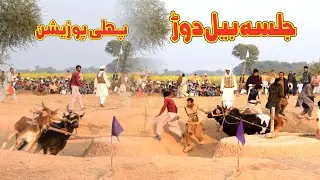 Bull Race In Pakistan | Bull Race In Pakistan2021 | JELSA BAIL DOOR | bail race #BullRaceInPakistan