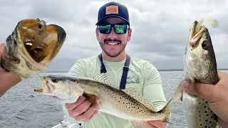 Relaxed day of Speckled Trout Fishing Steinhatchee Flats with OMEN lures