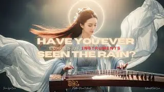 Have You Ever Seen the Rain Creedence Cover Reimagined | Orchestra Instrumental