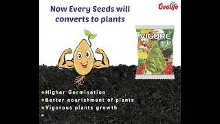 Vigore Raja - Now Every Seeds will Converts to Plants