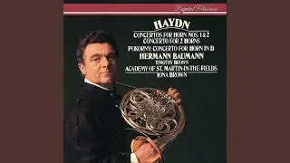Pokorny: Horn Concerto in D: 2. Andante poco larghetto