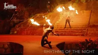 ALMA by Rhythms of the Night | Vallarta Adventures&reg;