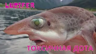Снова токсики.....снова в мут...Custom Hero Clash top 1 Slark