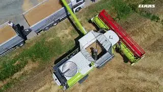 CLAAS In Campo 2018. LEXION 780 TERRA TRAC. Azienda Felti.
