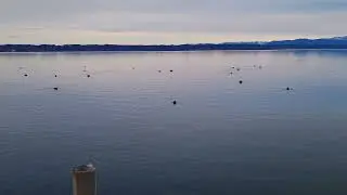 Tutzing am Starnberger See-Oberbayern-Jezioro Starnnberger See w Tutzing ,G&oacute;rna Bawaria