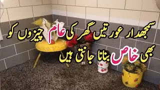 tips for housewives | plastic bottles craft ideas | reuse ideas | 5 minute craft ideas