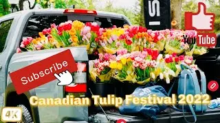 Ottawa Tulip Festival 2022