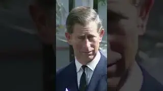The way William was looking at prince Charles at princess Diana funeral #shorts #princewilliam