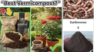 Best Vermicompost for Rose, Vegetable & Indoor Plants | Expert Recommendation | Real Test & Results