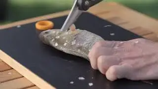 Fiskars Kitchen Poultry And Fish Scissors - Easy To Use