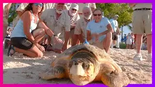 We're hooked on the Florida Keys! (#005)