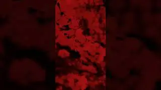 Моё состояние души#битбокс#бит#весна#выхи