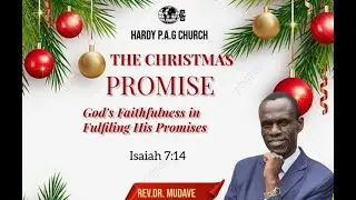 THE CHRISTMAS PROMISE