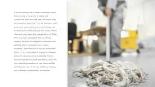 Professional Cleaning Services in Chicago
