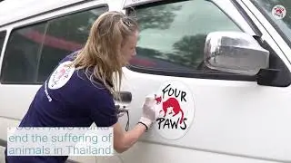 Saving Thailand's 🇹🇭🐕 Forgotten Dogs | FOUR PAWS | www.four-paws.org