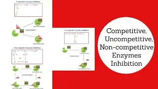 Competitive, Uncompetitive & Non- Competitive Inhibition| Explained| Biochemical & Bioprocess Engg