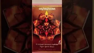 Tiger Spirit Rising: 02/22/2022 Energy Portal