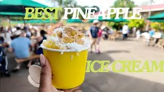 🍍 Exploring the Dole Plantation in Hawaii | Pineapple Paradise & Oahu Travel Vlog 🌺