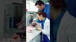 СКОЛЬКО ВРЕМЕНИ ТРЕБУЕТСЯ ДЛЯ ВНЕДРЕНИЯ КЛЕТОЧНОГО ПРЕПАРАТА В ПРАКТИКУ