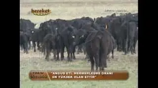 Saclılar Ciftligi 2  www.saclilar.com