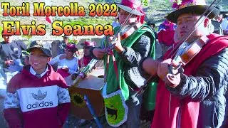 TORIL MORCOLLA GRANDE 2022 CON ELVIS  SEANCA 🎵
