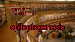 What does epileptogenesis mean?