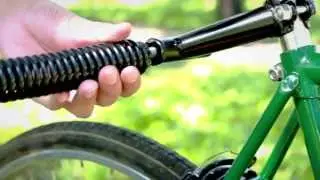 Pasea en bici con tu perro